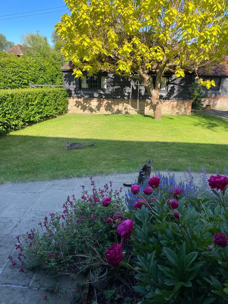Garden 1 of 2