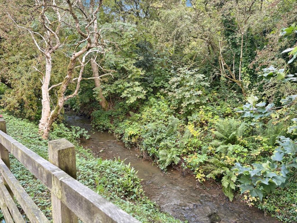 4f34289c-IMG 1087.JPG