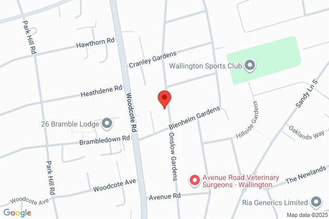 Google Maps Image