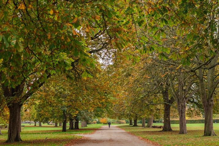 Vb5575472 Southall Grove October2025 3 716x515
