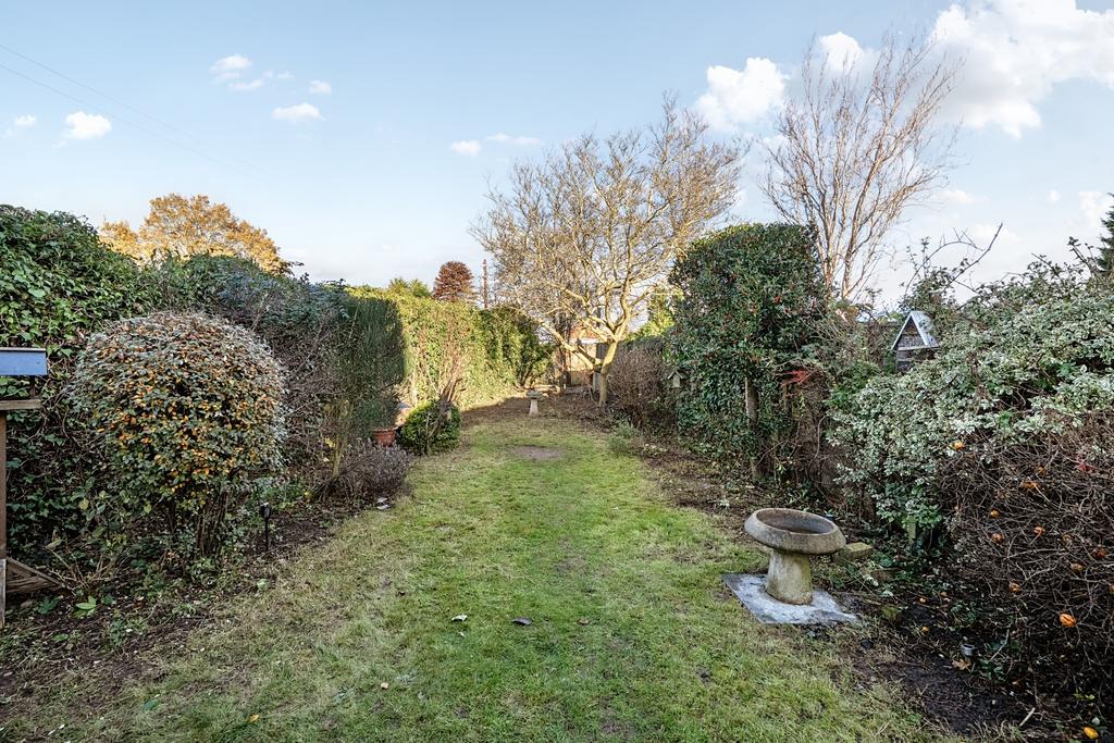 Garden 1