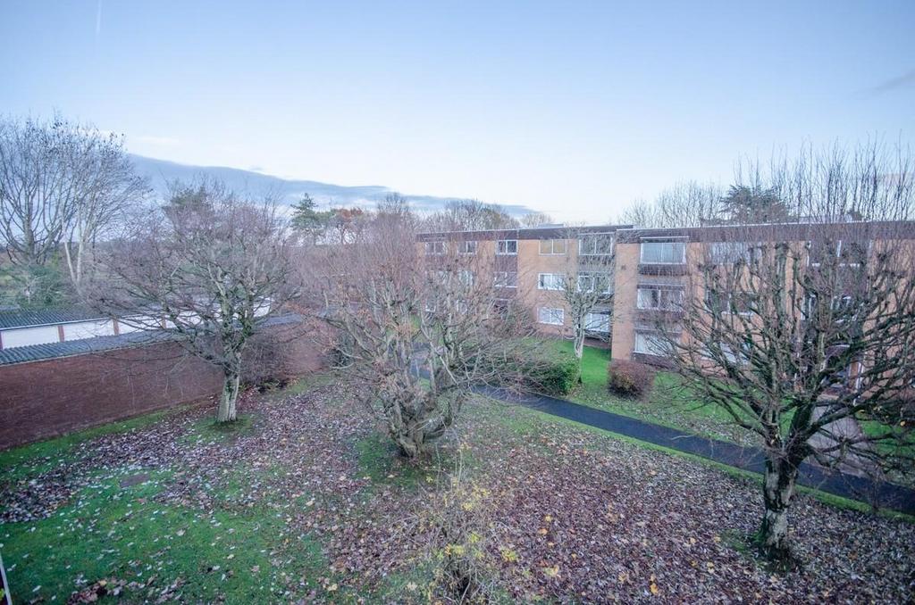 Communal garden pic 2.jpg