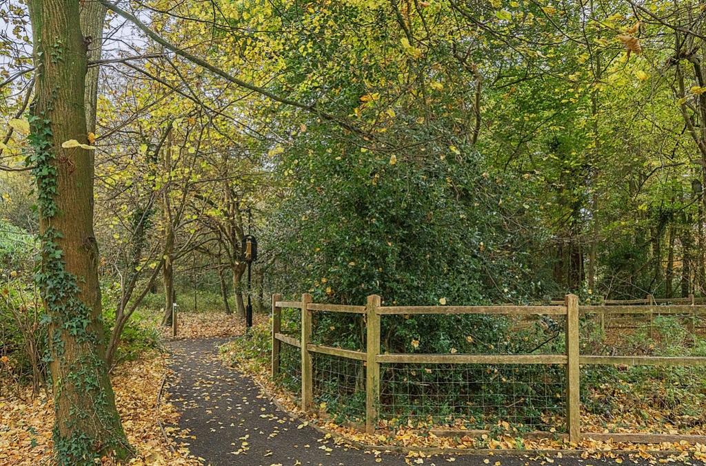 Grounds