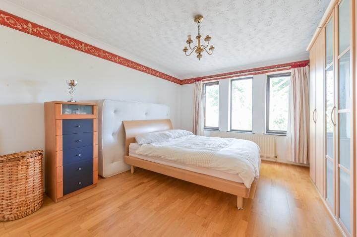 Chpk1555825 large-16-17 jpg