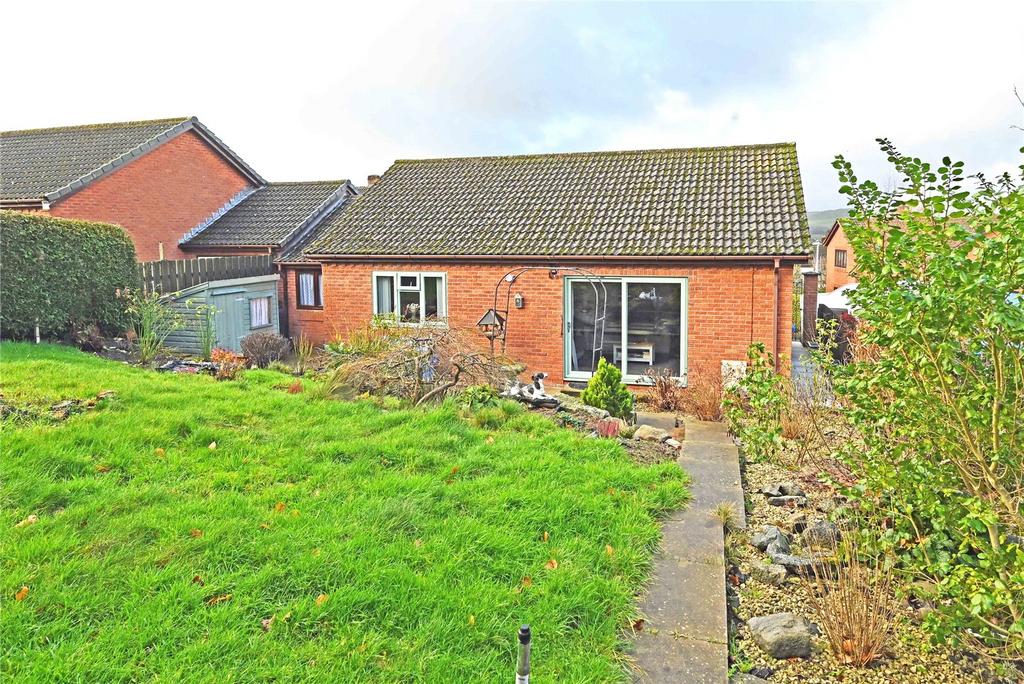 Rear Elevation