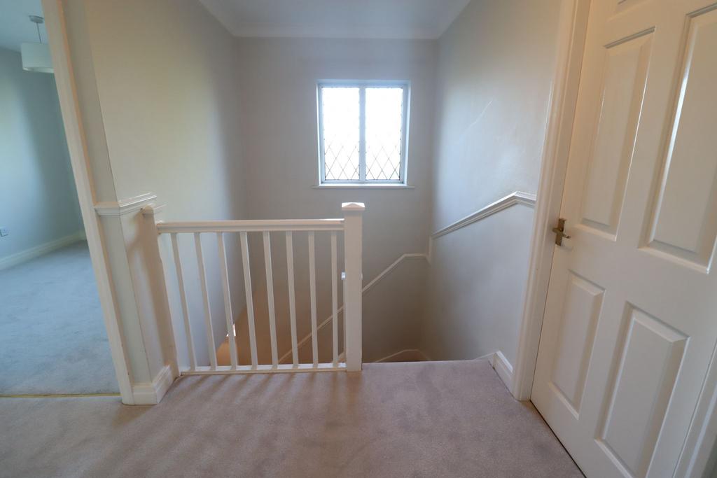 Photograph 26