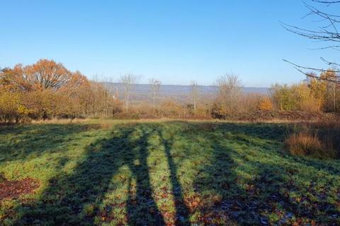 undefined, Hayesden Herb & Honey Farm, Upper Hayesden Lane, Tonbridge, Kent