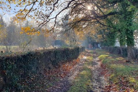 undefined, Hayesden Herb & Honey Farm, Upper Hayesden Lane, Tonbridge, Kent