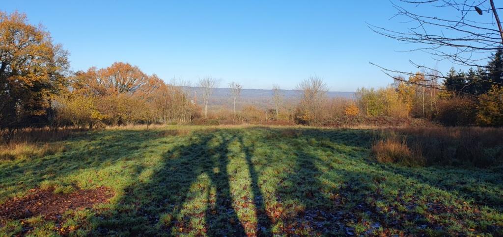 Field