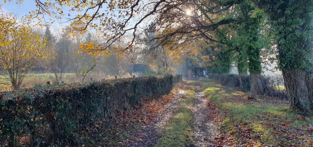 Path
