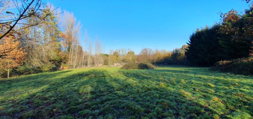 Field