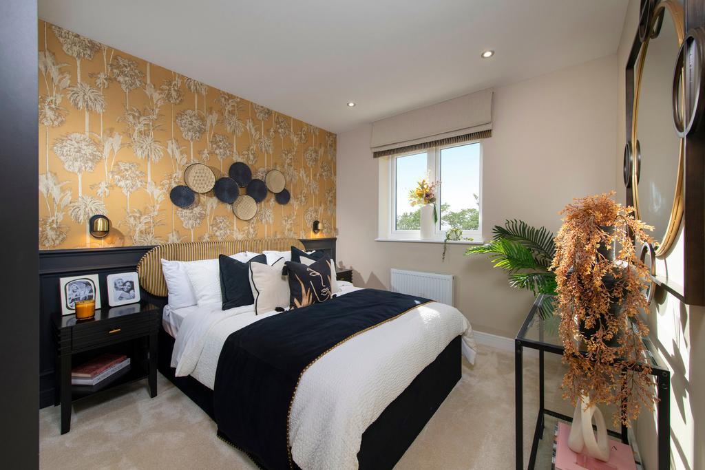 Showhome Photography