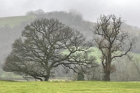 undefined, Midford, Bath, Somerset, BA2