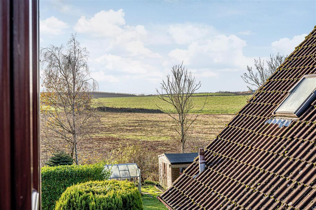 Untitled (24 of 1).JPG