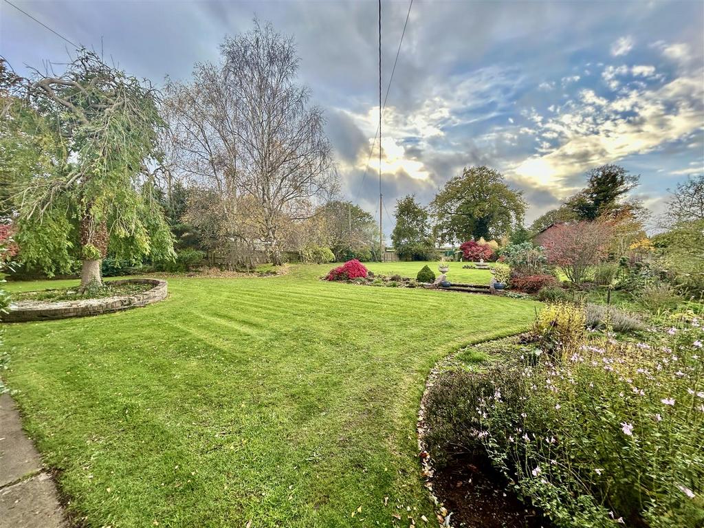 Garden.JPG