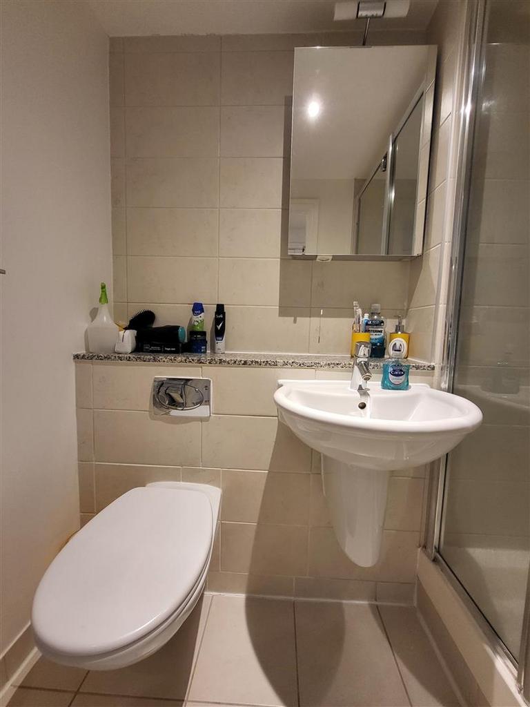 Second bathroom toilet.jpg