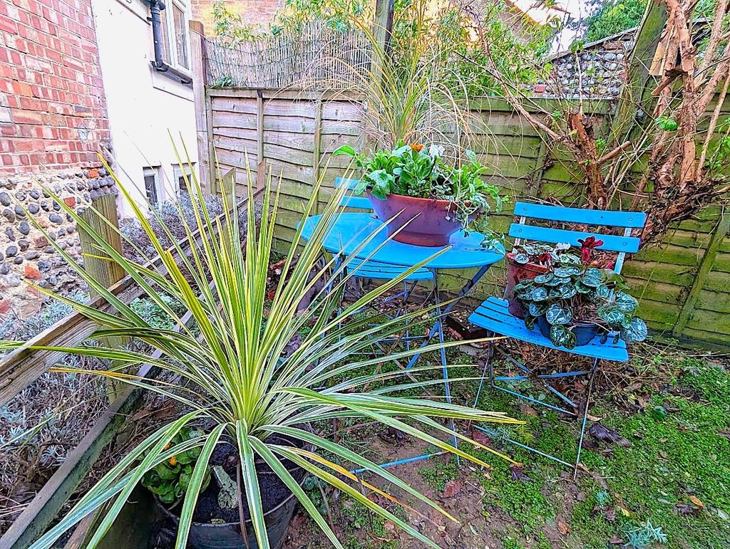 Rear garden