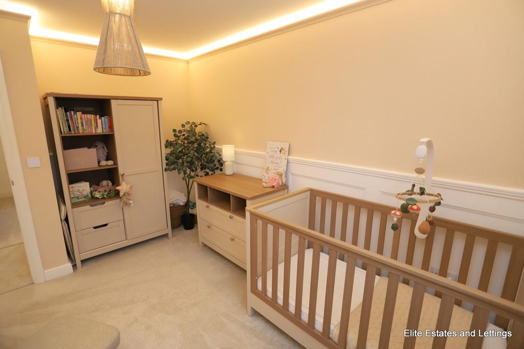 17 img 1436
