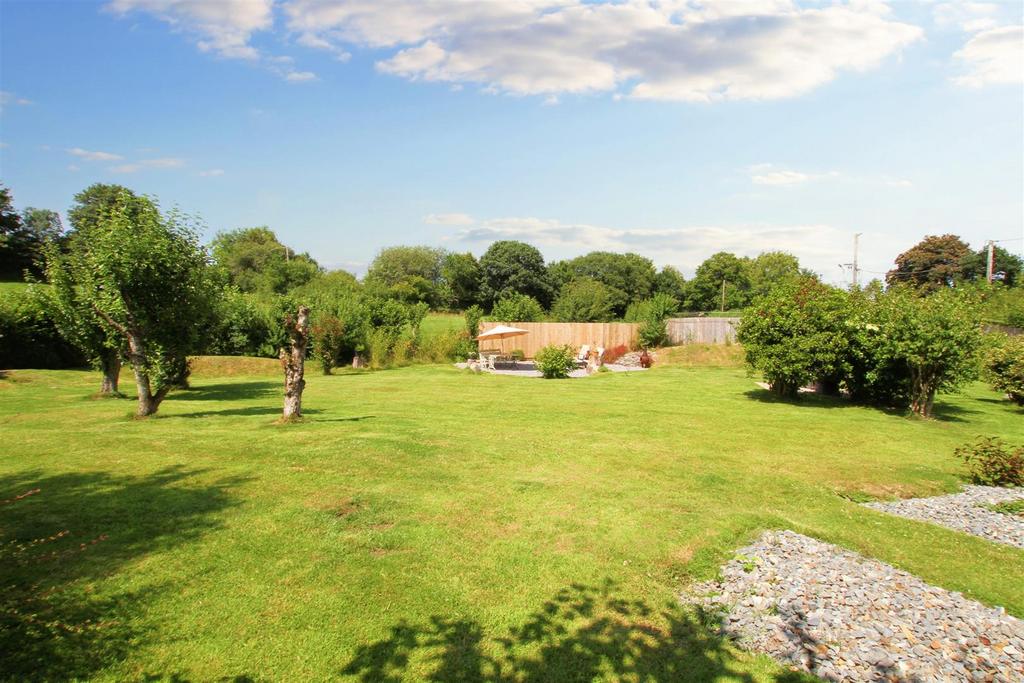 Rear Garden in the summer