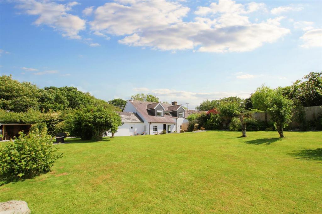 Rear Garden in the summer