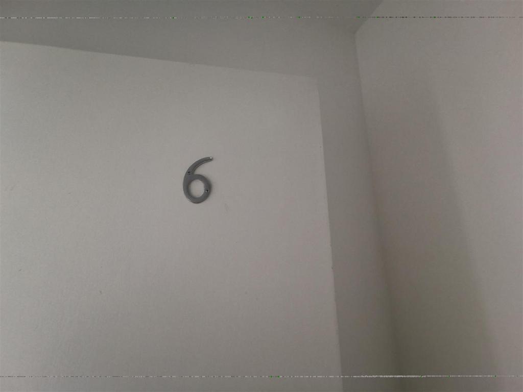 IMG 20250131 135528.jpg