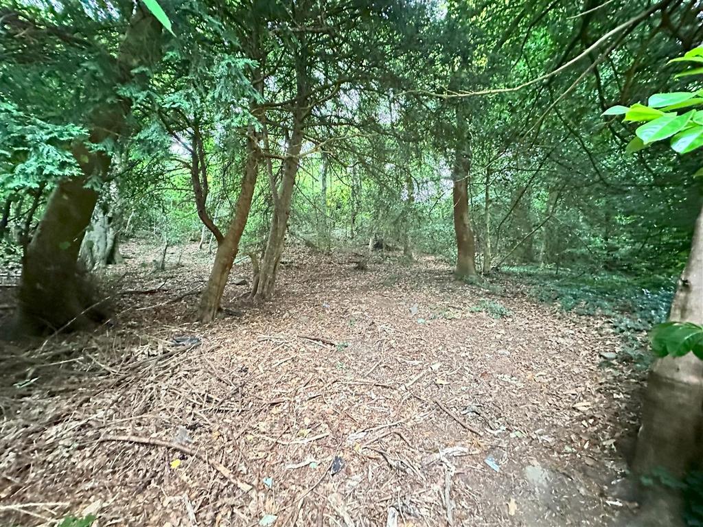 20250807 095354515 i OS.jpeg