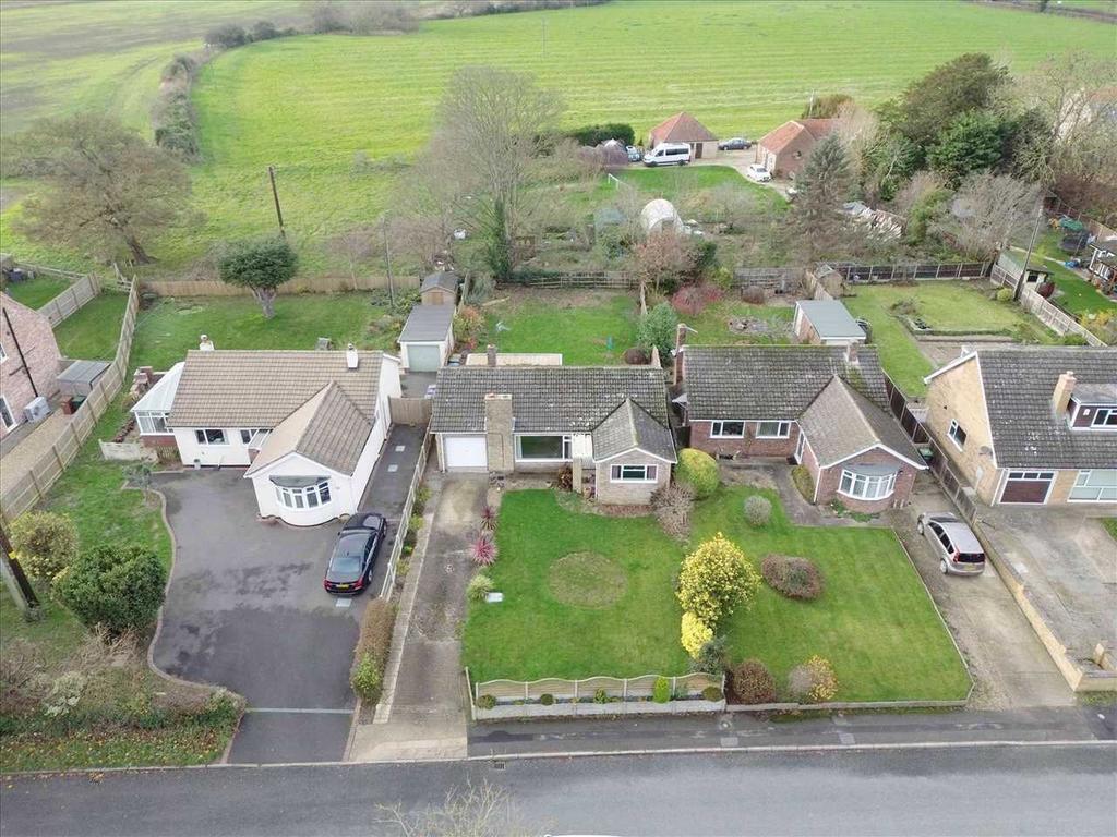 Aerial View: