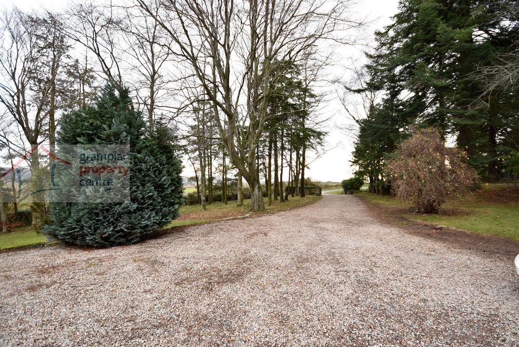 Driveway .JPG