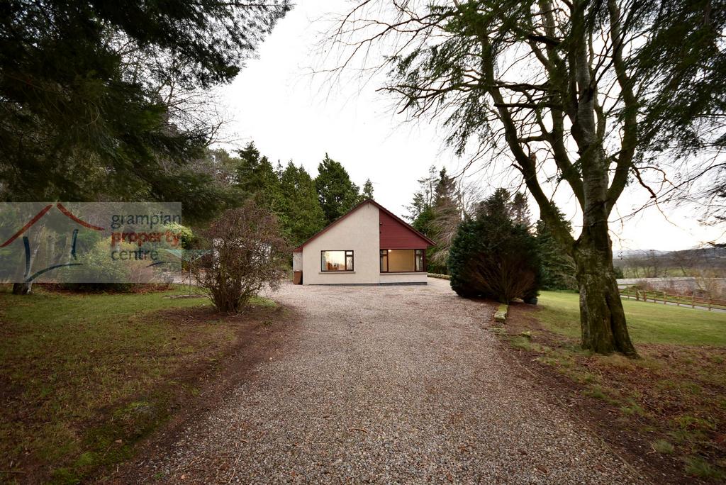 Driveway 2.JPG