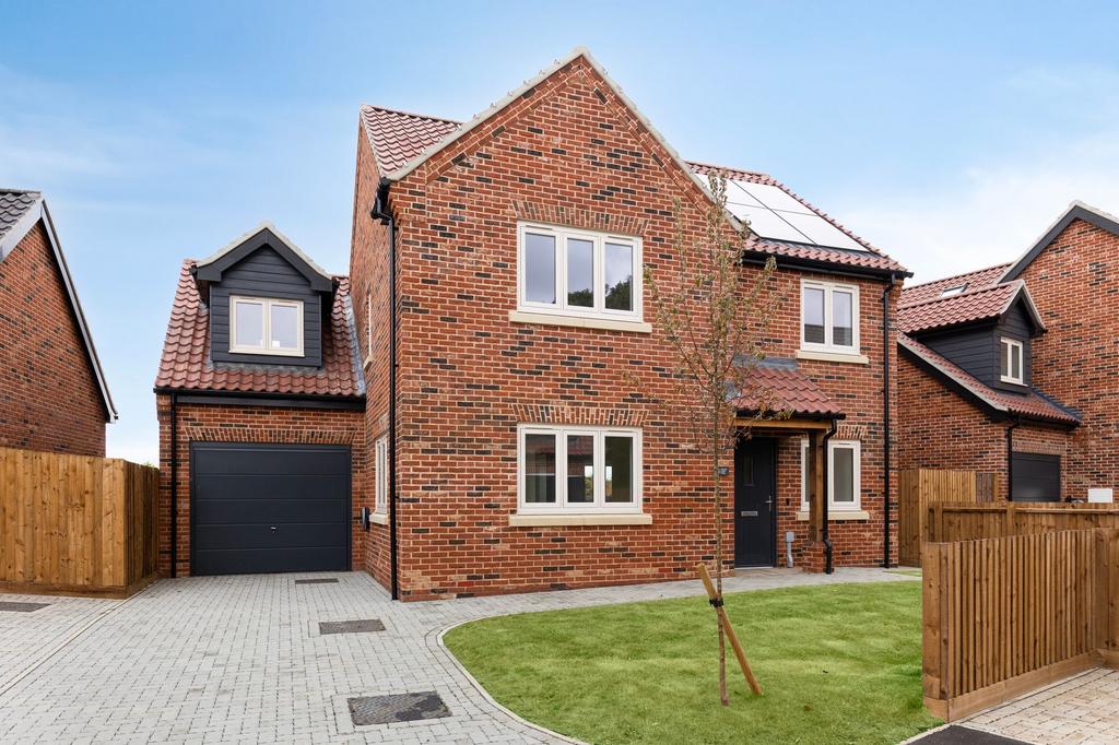 Plot 12
