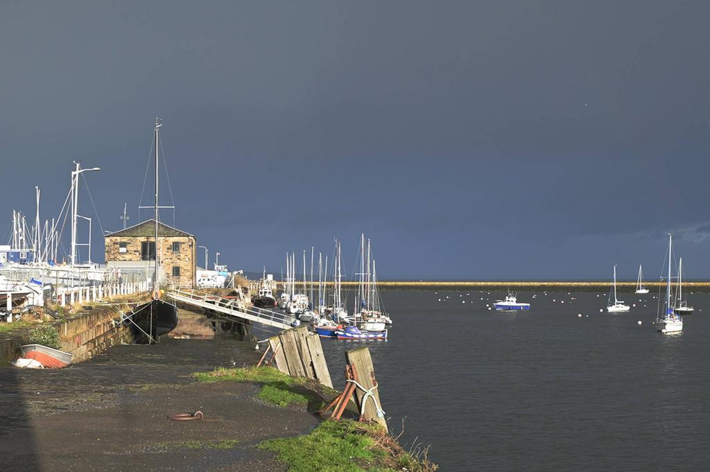MFL8248939 917.jpg