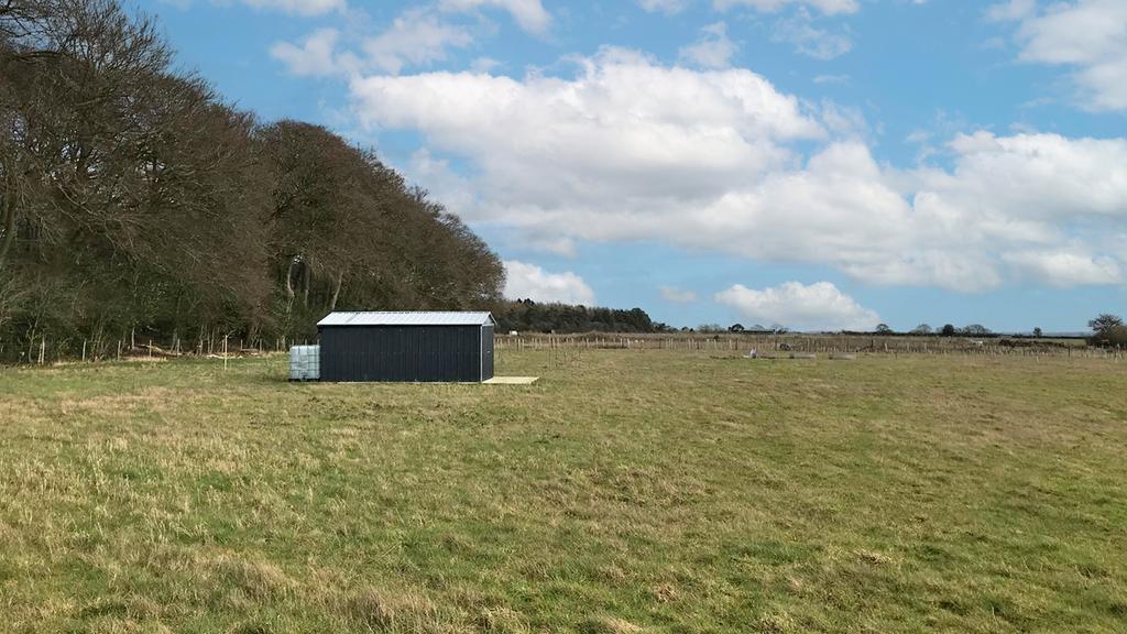 Woodside Smallholding, Stokenchurch.