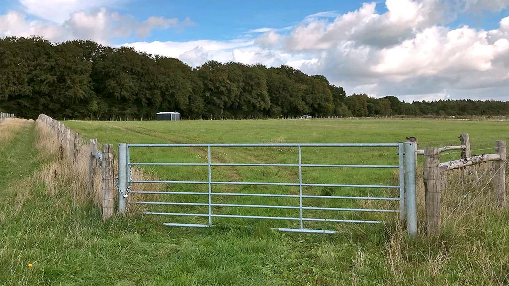 Gated entrance to the Woodside Smallholding.