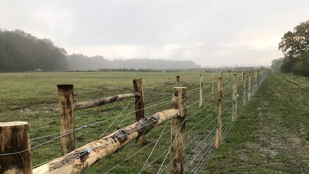 Enclosed by stock-proof fencing.