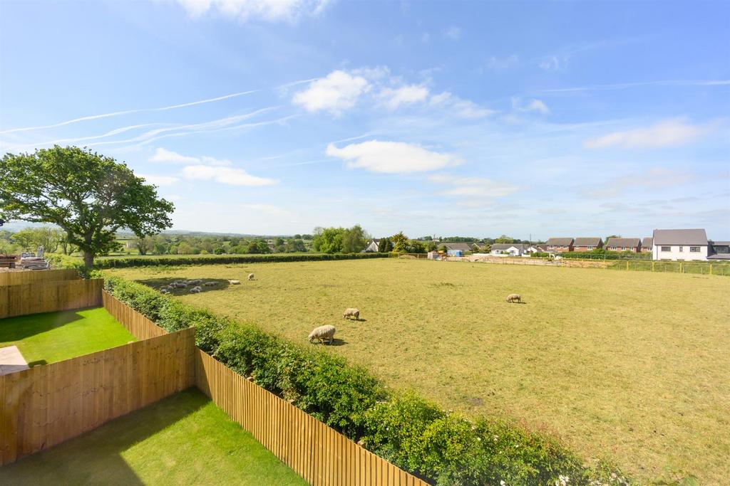 Welcome to strawberry meadows