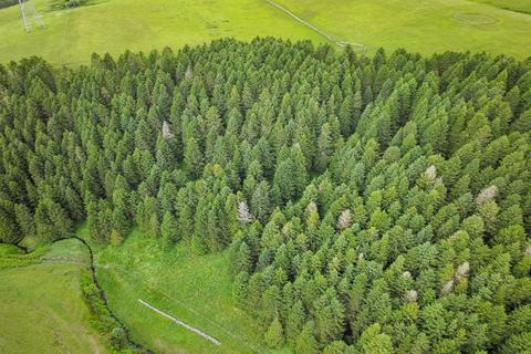 undefined, Lauder, Scottish Borders TD2