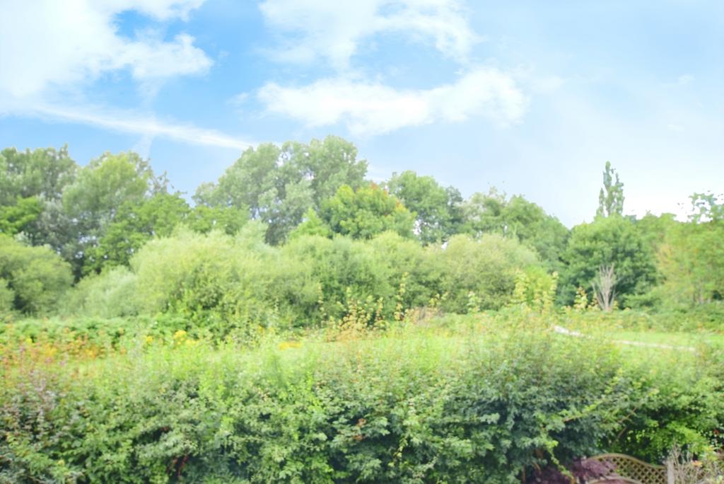 251069a3-DSC 0584