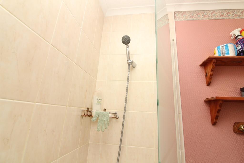 Img 4941