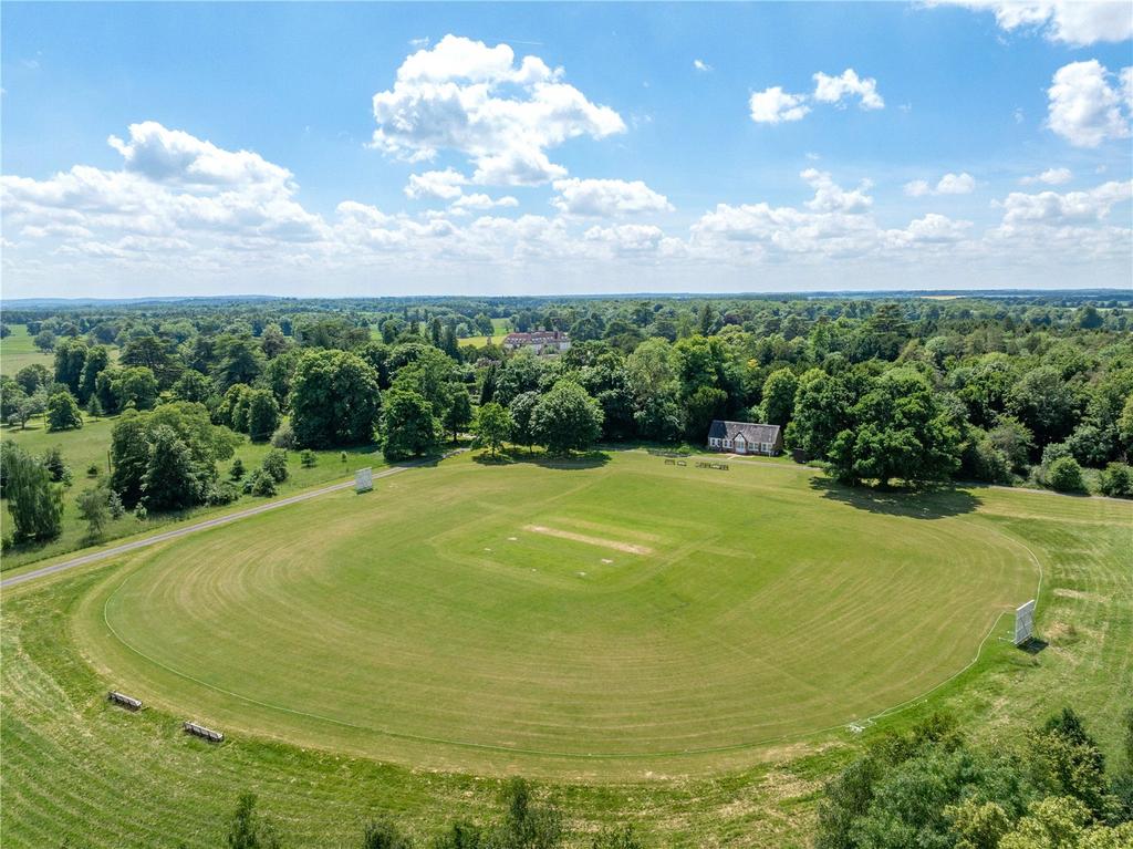 Cricket Pitch