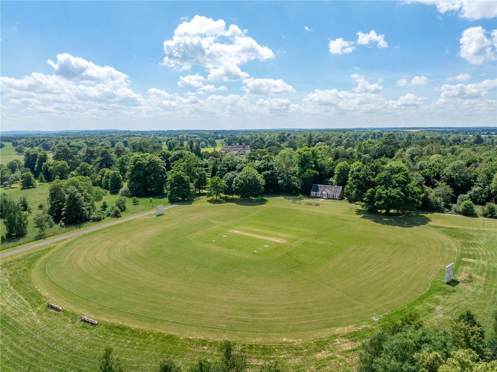 Cricket Pitch