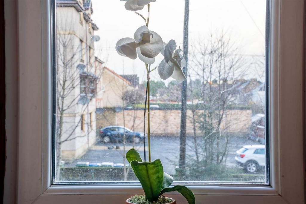 DSC09977-HDR.jpg