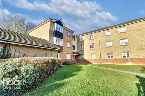 undefined, Tamarin Gardens, Cambridge