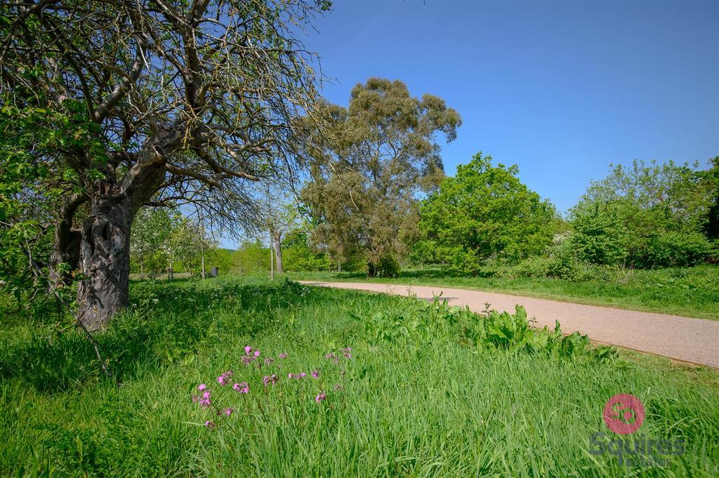 4 Callow -40 DSC 4370.jpg