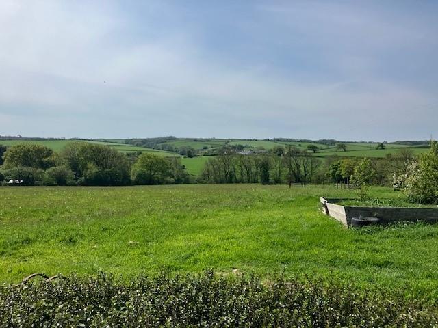 View.jpg
