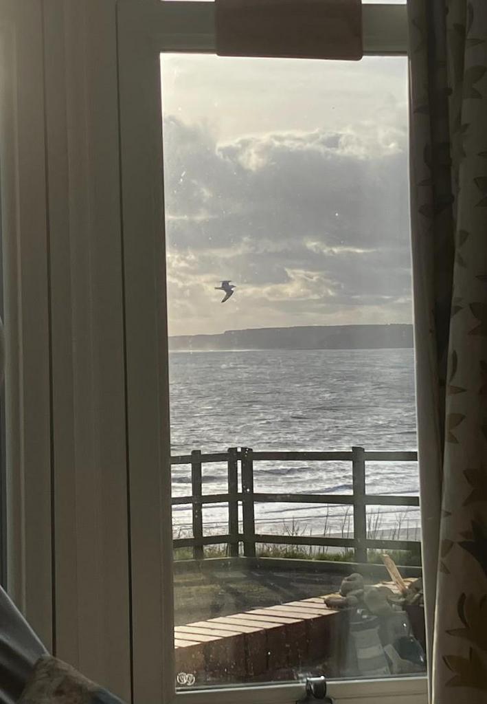From the armchair.jpeg