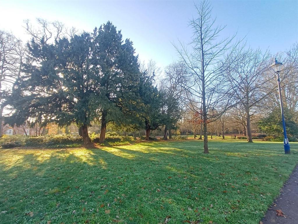 Park3.jpg