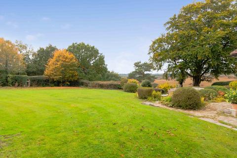 undefined, Ashdown Forest, Uckfield TN22