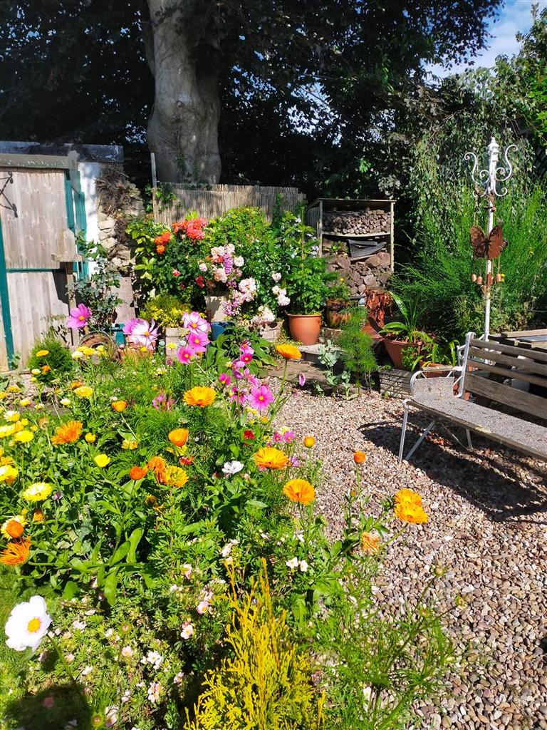 Eastgate 51 Vendor Shot-3.jpg