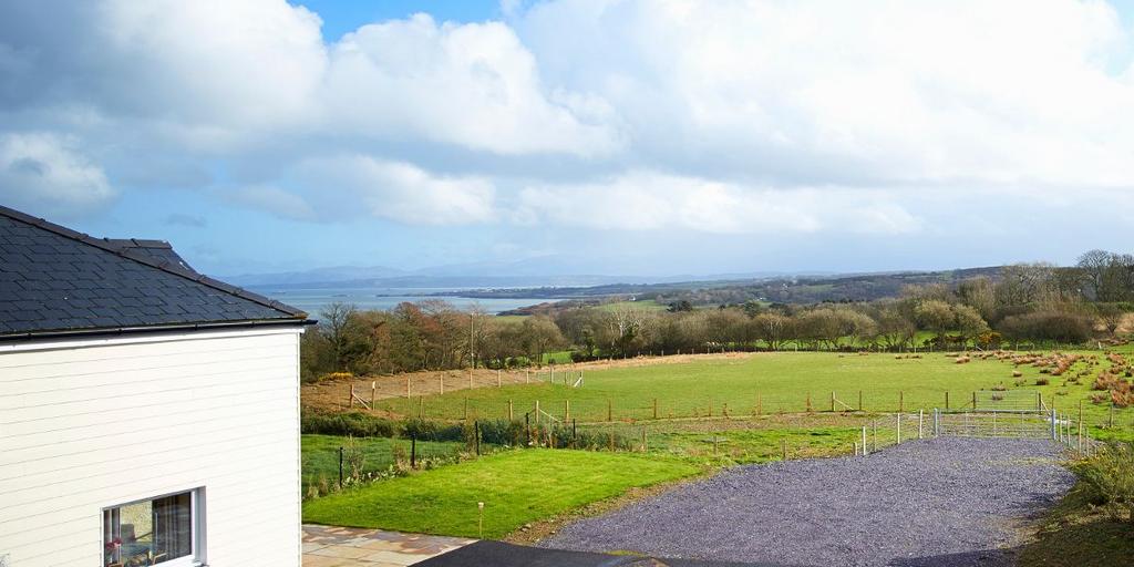 Red squirrel 004 25-03-2014