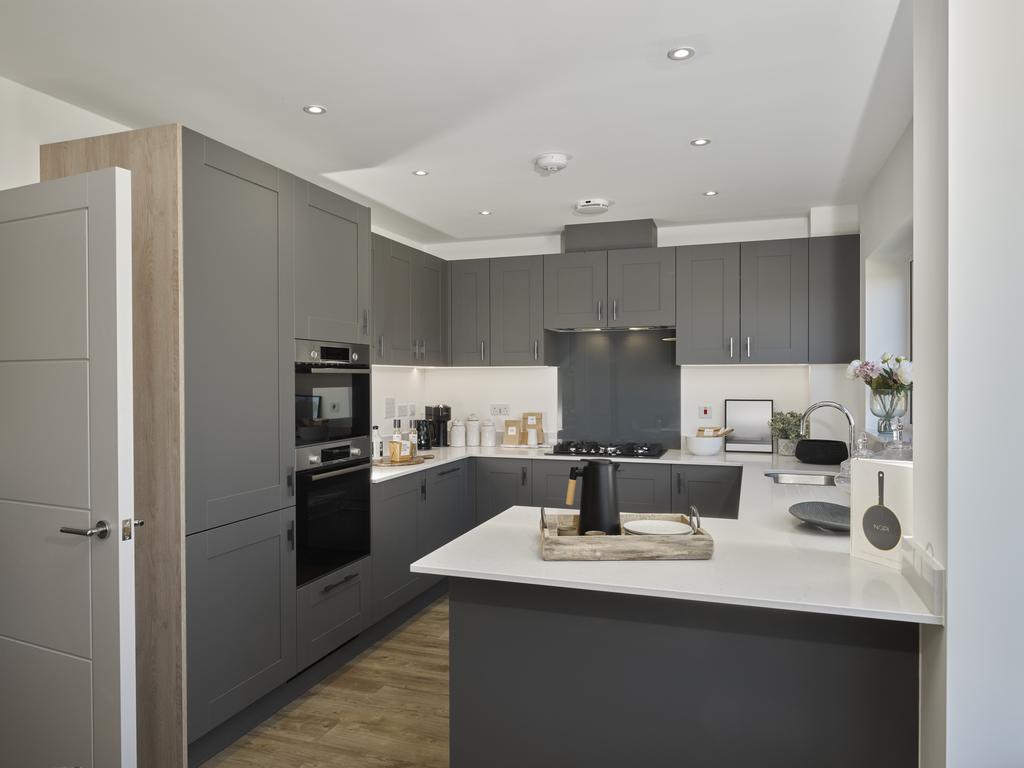 Show home